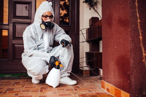 Attic and Crawl Space Rodent Treatment in Sea Isle City